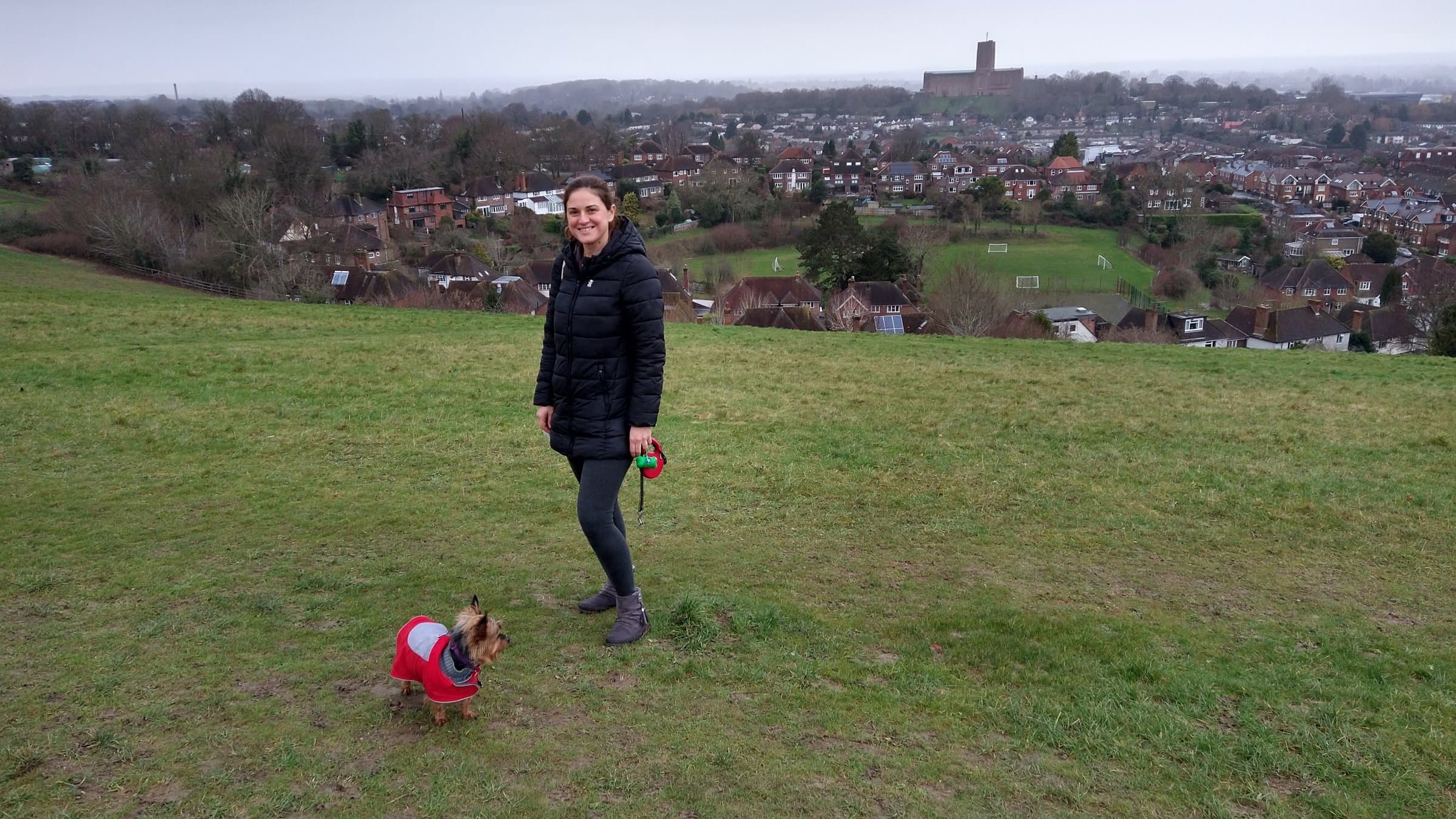 Professional dog walking service in Guildford